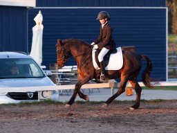 IMG_8150_web